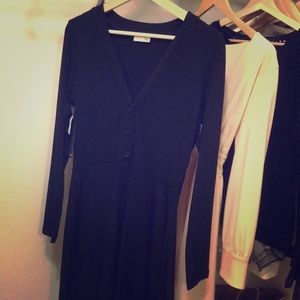 Vivienne Dress Aritzia Wilfred Free